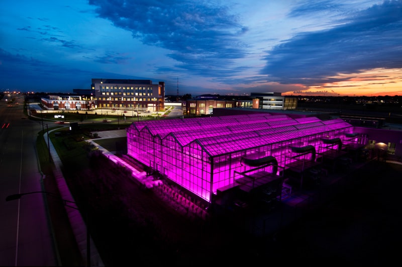 nebraska innovation campus glowing purple at night
